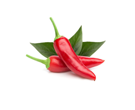 Kanthari Chilli (Green) / Kanthari Mulaku/Bird Eye Chilli - (Pack of 30+ Seeds) - Image 5