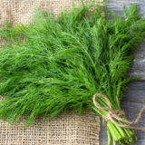 Dill