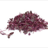 Amaranthus Red Microgreens - (Pack of 100 Grams)