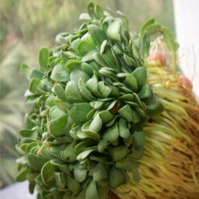 local variety