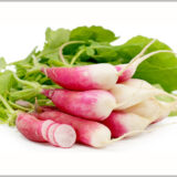 Radish Half Red - (Pack of 100 Seeds)