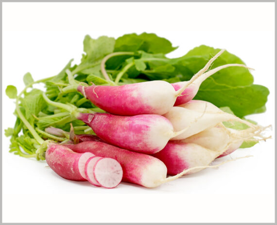 Radish Half Red - (Pack of 100 Seeds)