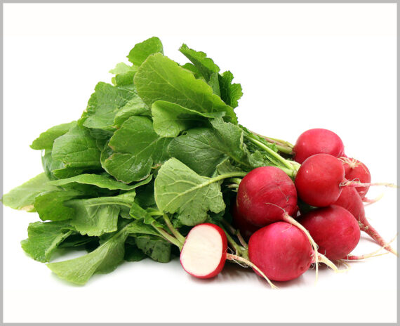 Radish Red Round - (Pack of 100 Seeds)