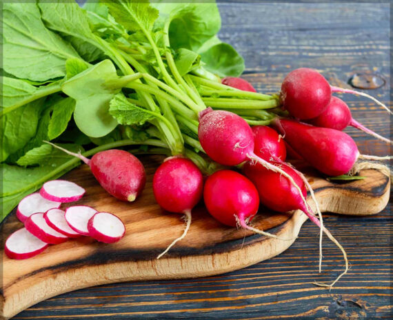 Radish Red Round - (Pack of 100 Seeds) - Image 2