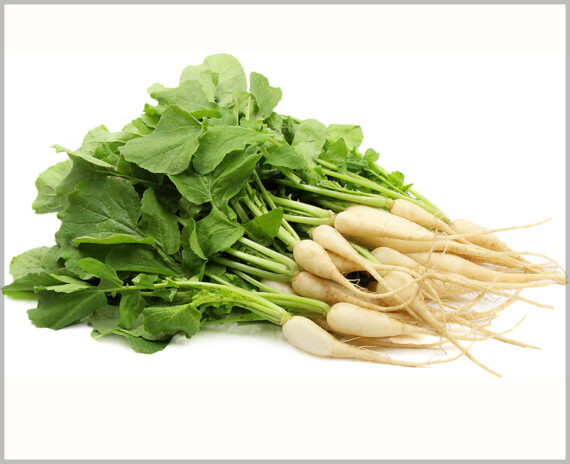 Radish White Short - (Pack of 100 Seeds)