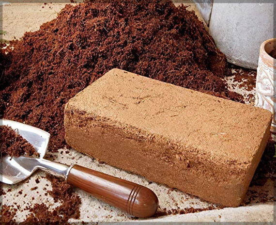 Cocopeat Block / Coir Block - 650 Grams - Expands up to 3.5 Liters - Image 4