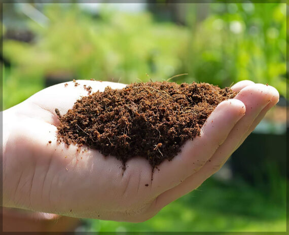 Cocopeat Block / Coir Block - 650 Grams - Expands up to 3.5 Liters - Image 2